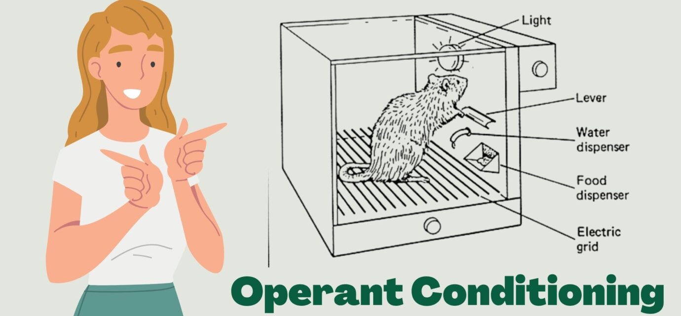 Reinforcement