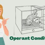 Reinforcement